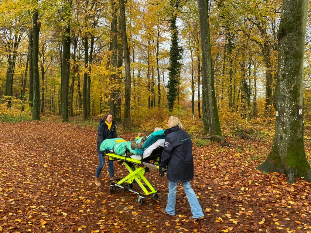 Fulfilling wish @Forest